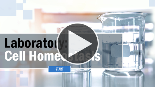 Laboratory: Cell Homeostasis Learning Object
